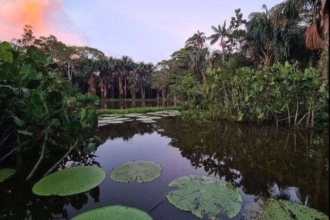 3-day-tour-amazon-three-borders