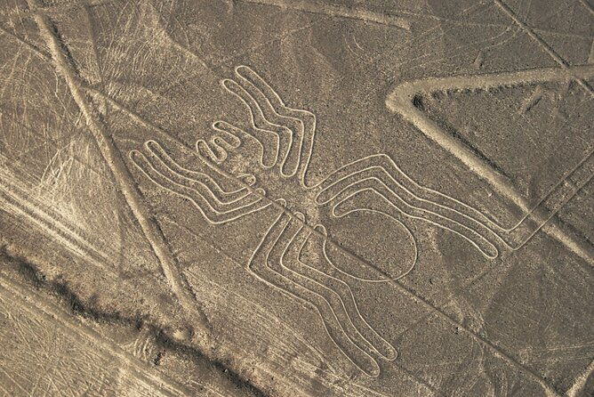3-day-tour-from-lima-nazca-lines-flight-paracas-and-huacachina