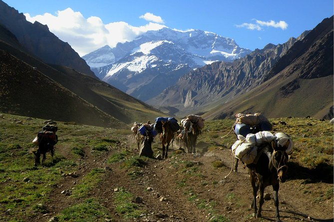3-days-trek-to-plaza-francia-in-aconcagua-park