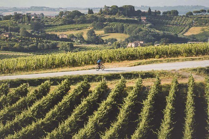 3-hour-bike-tour-and-wine-in-tuscany-nobiles-path