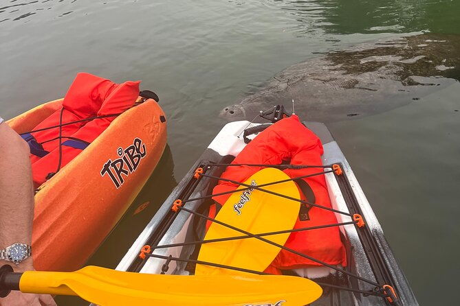3-hour-guided-tandem-kayak-adventure