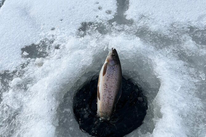 3-hour-ice-fishing-experience-2