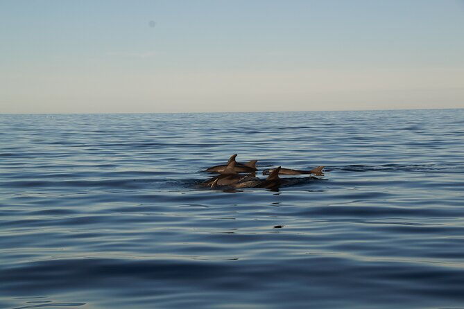 3-hour-private-sunset-sailing-tour-in-pula