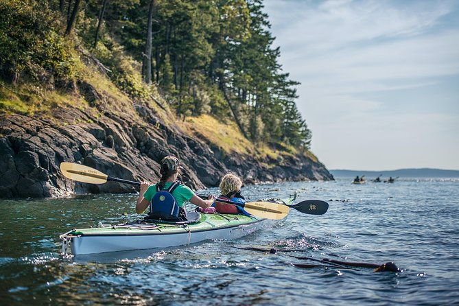 3-hour-sea-kayak-tour-in-the-san-juan-islands
