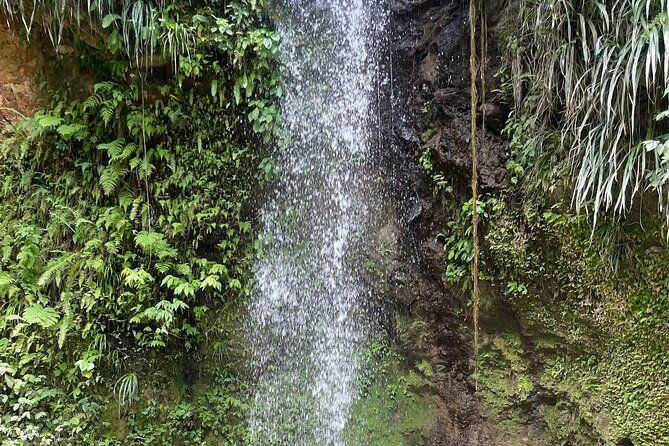 3-hour-st-lucia-island-tour-with-zero-entry-free