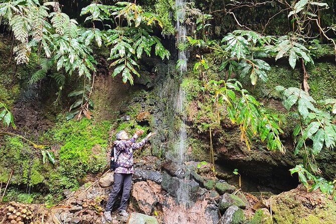 3-hours-guided-forest-bathing-hike-in-portugal