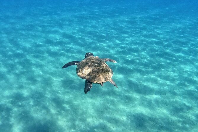 3-hours-marathonissi-island-tour-keri-caves-and-turtles-spotting