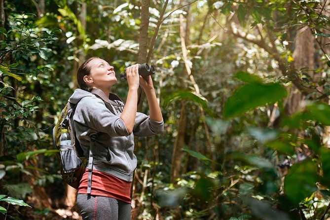 3-in-1-eco-tour-rain-forest-aerial-tram-river-cruise-nature-walk-private-tour