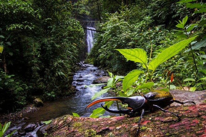 3-in-1-monteverde-cloud-forest-waterfalls-wild-trekking-and-horseback-riding