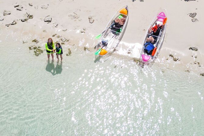 3hr-clear-kayak-mangrove-and-iguana-island-tour-in-leeward