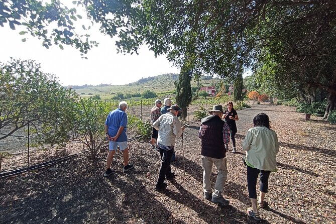 4-5-hours-private-tour-the-best-and-highlights-of-gran-canaria
