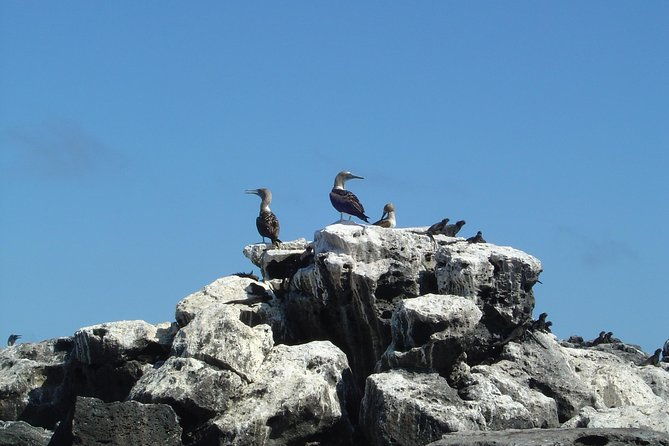 4-day-galapagos-islands-express-tour