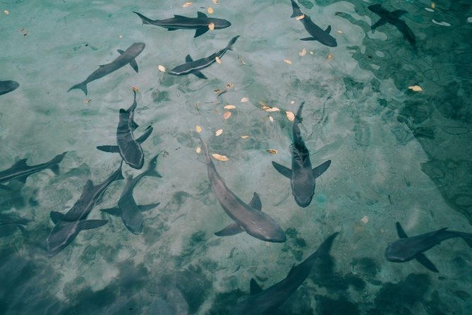 4-day-galapagos-on-a-budget-experience