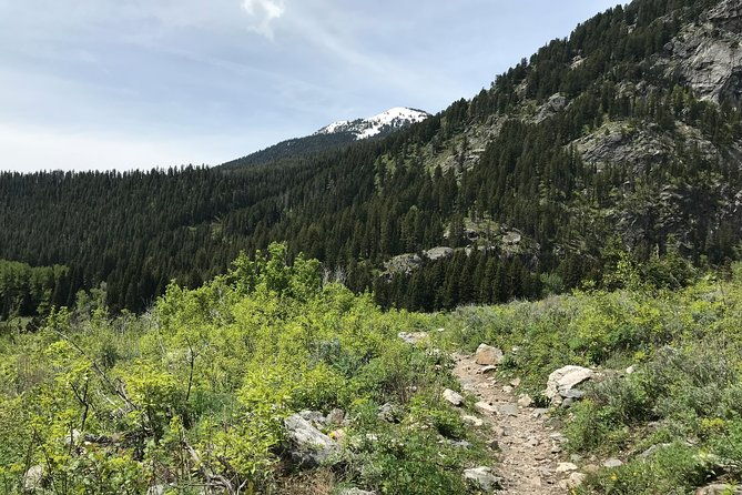 4-day-small-group-tour-yellowstone-and-tetons-camping-from-salt-lake-city-2