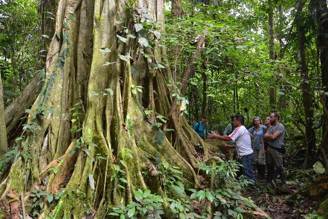 4-days-cuyabeno-amazon-experience