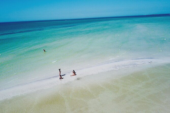 4-hour-clearwater-beach-private-pontoon-boat-tour