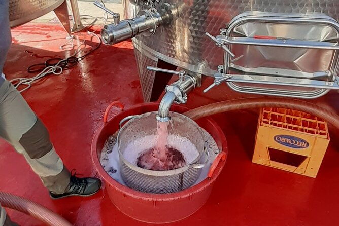 4-hour-guided-e-bike-tour-of-the-two-wineries-in-bardolino