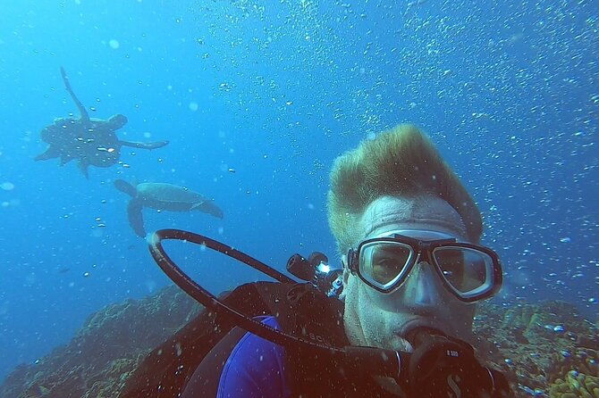 4-hour-guided-scuba-diving-adventures-in-waikiki