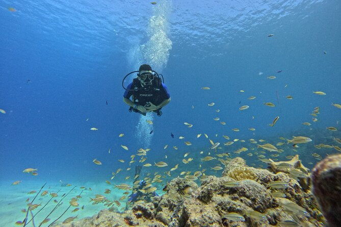 4-hour-private-activity-two-tank-diving-in-san-andres
