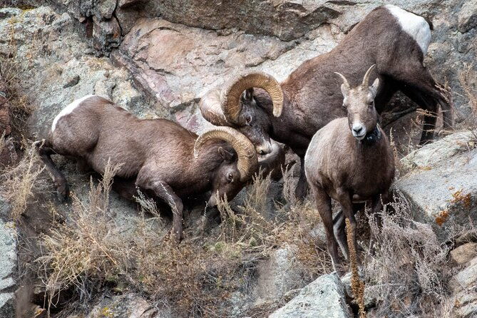 4-hour-private-geology-tour-in-rocky-mountain-national-park-2