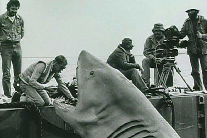 4-hours-hop-on-hop-off-jawsome-jaws-tour