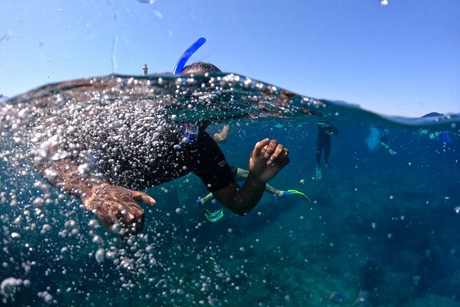 4-hours-snorkeling-activities-villasimius-isola-dei-cavoli