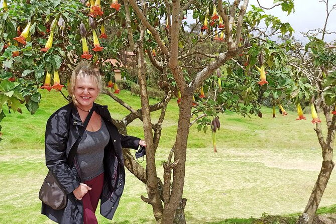 4-or-5-day-tour-cuencaalausibanosquilotoacotopaxi-and-quito