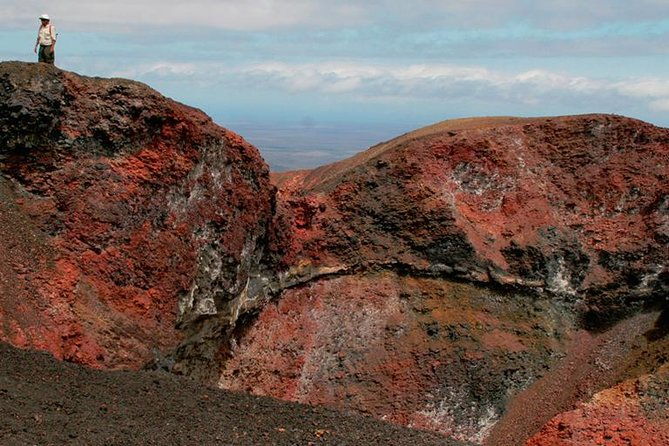 5-day-all-inclusive-galapagos-isabela-and-santa-cruz-island
