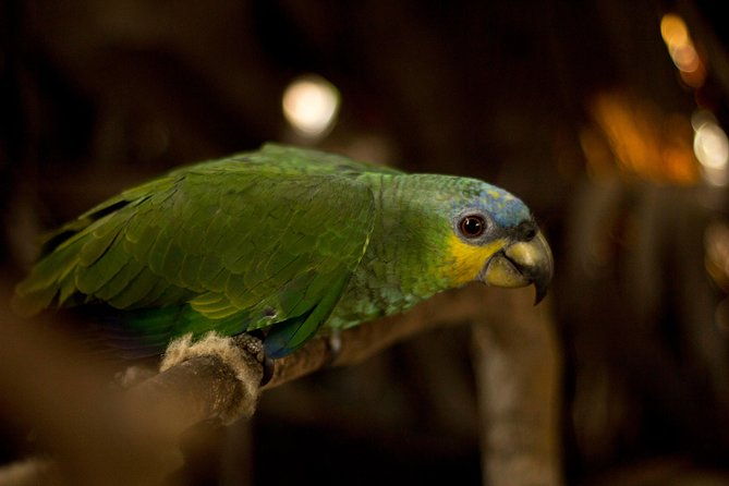 5-day-amazon-camping-and-kayaking-discover-yasuni