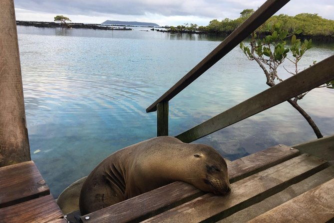 5-day-galapagos-multisport-biking-hiking-and-snorkeling