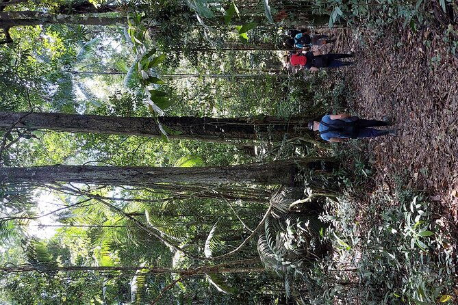 5-days-tour-culture-and-nature-of-the-amazon-non-mass-sustainable-tour