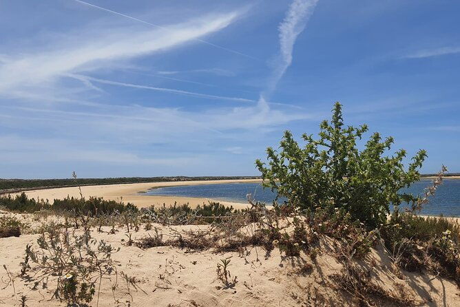 5-hour-boat-tour-in-ria-formosa