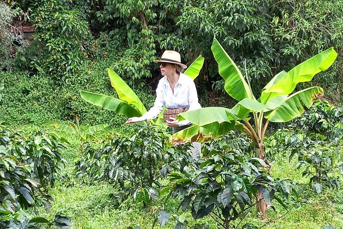 5-hour-coffee-and-pablo-express-mix-tour-in-medellin