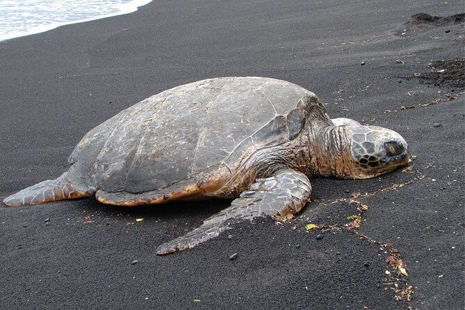 5-hour-custom-private-tour-of-hawaii