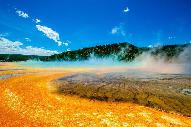 5-person-full-day-private-yellowstone-tour-picnic-binoculars-scope-huge-van