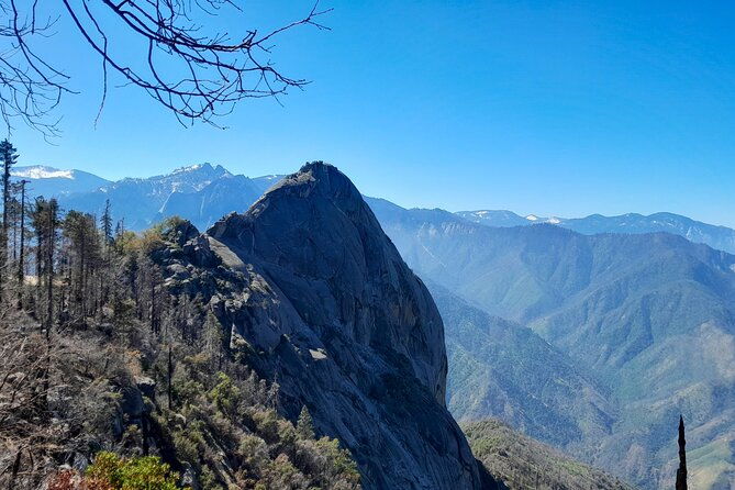 5-star-rated-sequoia-national-park-tour-2