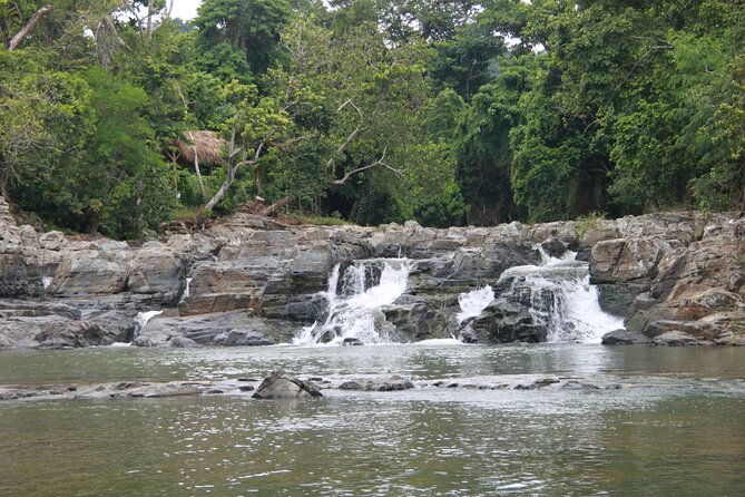5-tours-of-jungle-and-dominican-culture-with-lunch