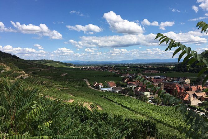 5h00-alsace-private-tour-castle-villages-wine-friendly-driver