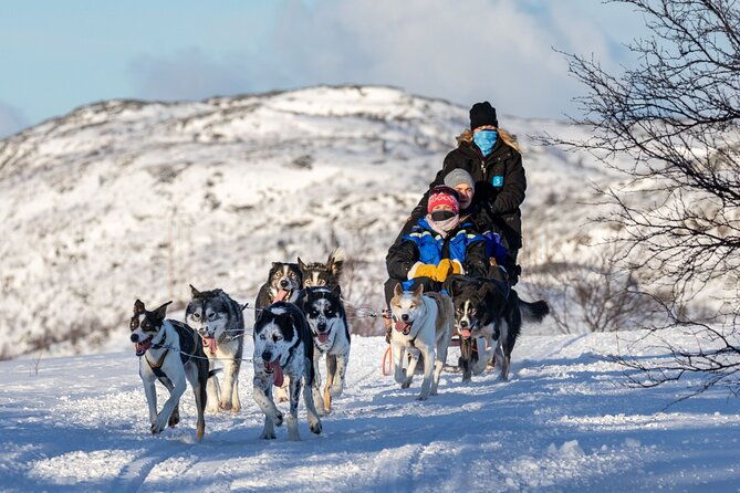 5km-husky-sled-ride-from-levi