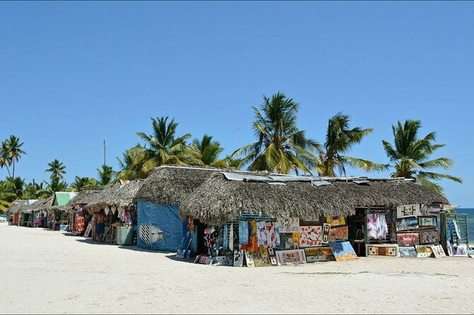 6-1-full-day-isla-saona-tour-and-snorkel-in-natural-pool-mangroves-punta-cana