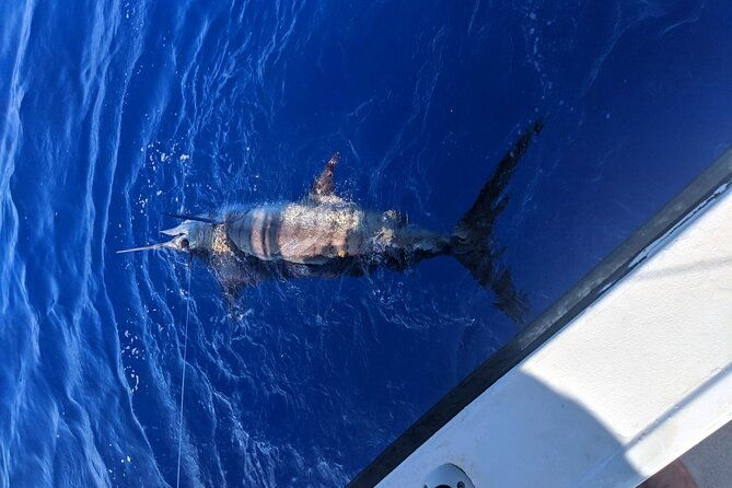 6-hour-private-fishing-charter-kona-hawaii-2