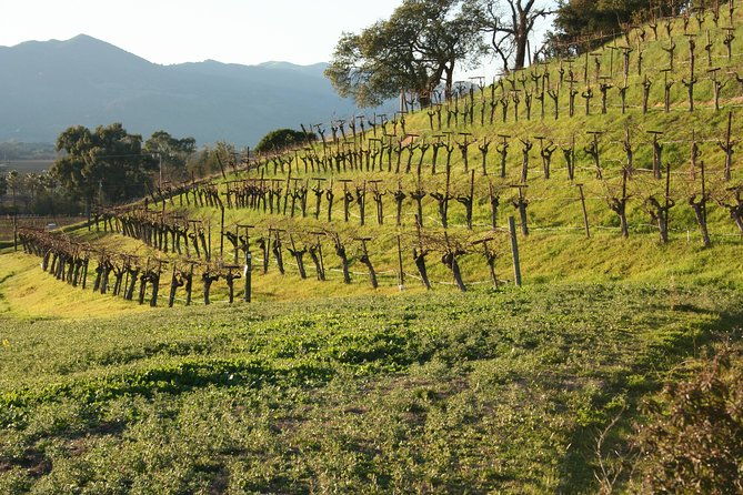 6-hour-private-napa-wine-tour-in-a-lincoln-mkt-crossover-up-to-4-passengers