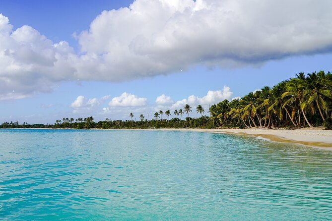 6-hour-private-saona-island-tour-with-snorkeling