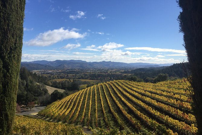 6-hour-private-wine-country-tour-of-napa-valley-up-to-6-people-in-large-suv