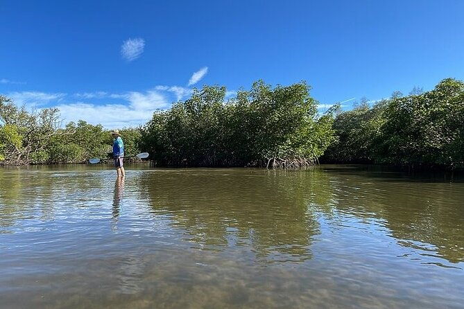 6-hr-tropical-mangroves-coastal-river-and-ocean-wildlife-watch-2