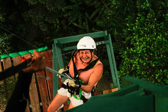 60m-tree-climbing-experience-with-descent-in-tarzan-or-rapel