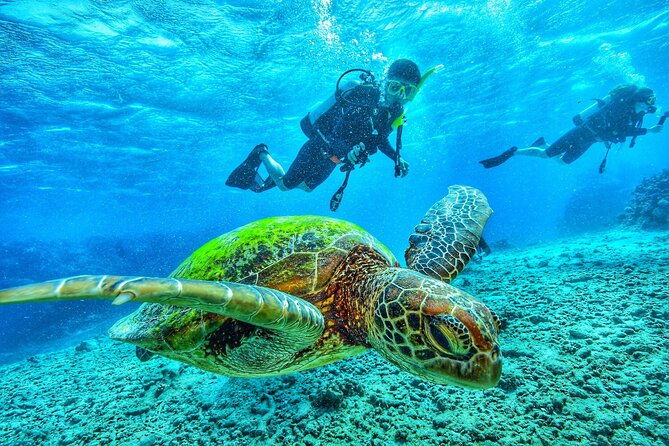 7-days-diving-and-hiking-on-the-galapagos-islands-tour