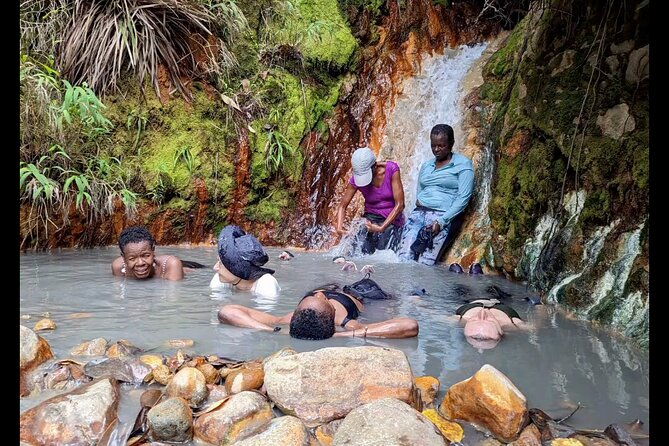 7-hours-wildlife-discovery-tour-in-dominica