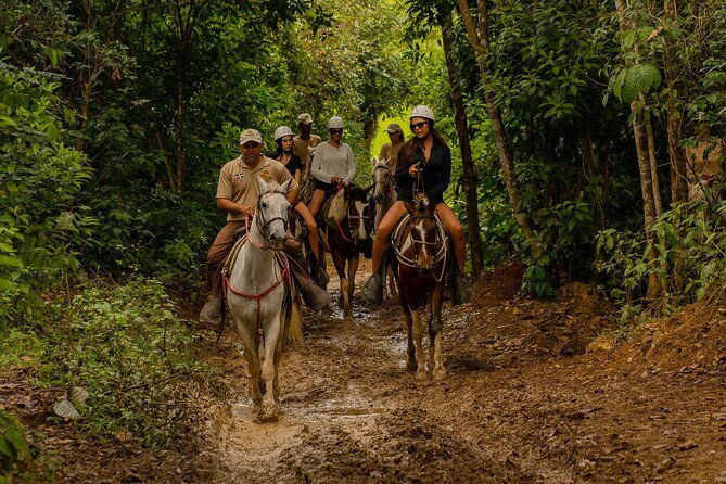 7-tours-punta-cana-zipline-chairlift-atv-ride-horses-more