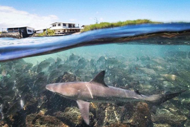 8-day-galapagos-on-a-budget-3-islands-experience